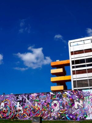 FESTIVAL RUE DES ARTS 3 by Kanos & Jo Di Bona Aulnay 2014