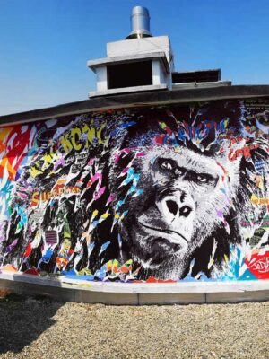 GORILLA SUR UN TOIT pour lrsquoemission de Richard Orlinski SUR LES MURS © TV5 MONDE by Jo Di Bona Paris 2023