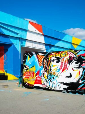STREET ART LES FACULTE DE LrsquoAVENIR avec OSARO by Jo Di Bona Saint Maur 2015 - Collection privée